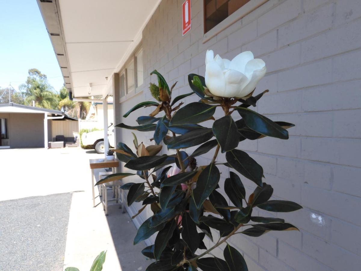 Dalby Parkview Motel Luaran gambar